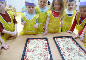 14 Pizza gotowa do pieczenia